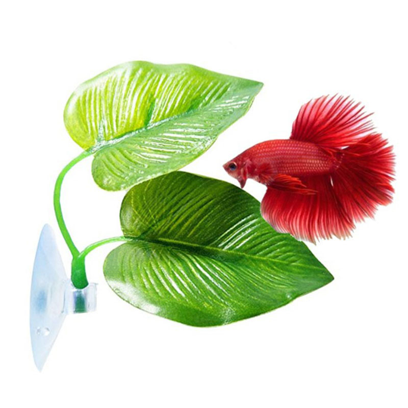 Betta vissen rusten in het aquarium, bladplanten decoratie, paaiplaats, sierplant, betta vissen spelen, ontspannen, kunstmatige schuilplaats, blad hangmat