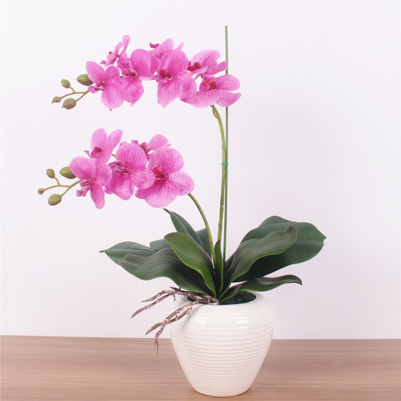 Phalaenopsis plants dedicated styling fixture gardening potted orchid plants flowers supporting wire flower rod stem 2pcs/lot