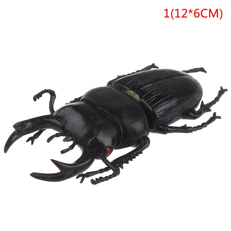 6 style 13cm simulation beetle Toys Special Lifelike Model Simulation insect Toy nursery teaching aids joke toys: 1