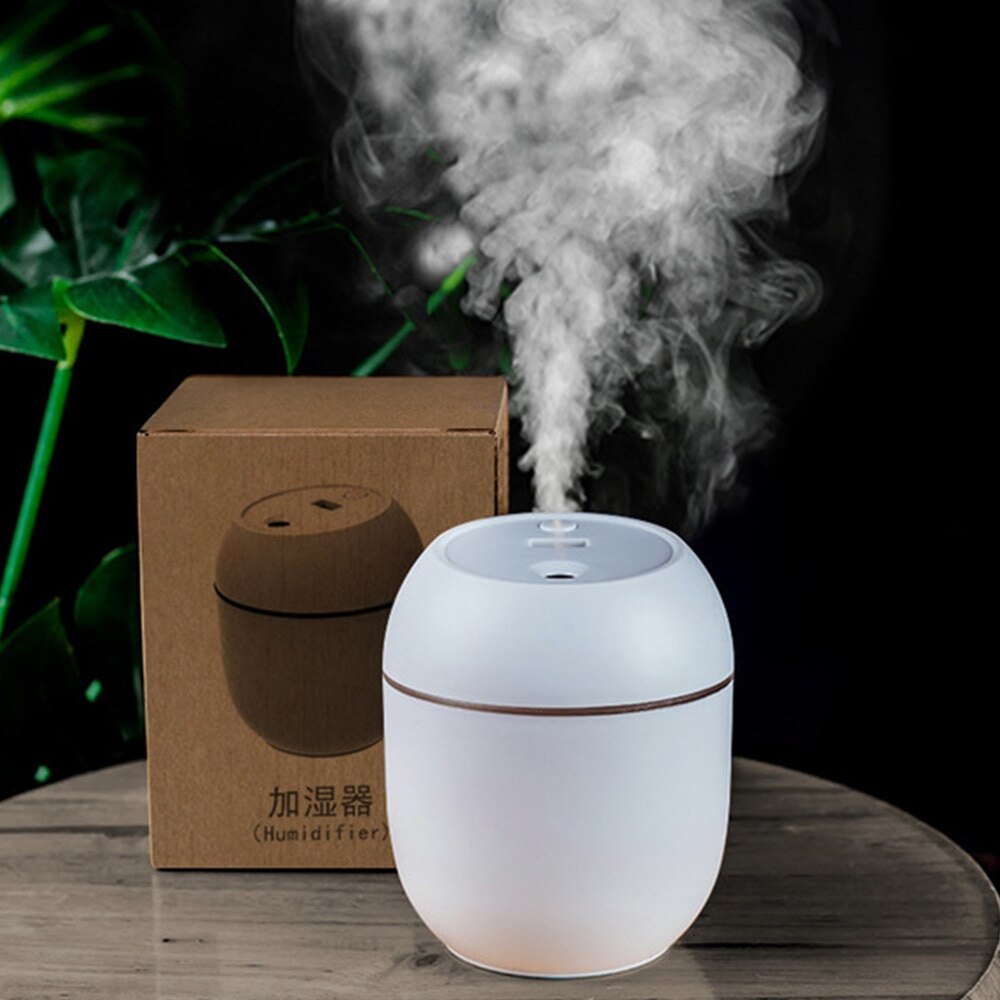 Luchtbevochtiger Huishouden Slaapkamer Kleine Mini Lucht Geur Zuivering Spuit Usb Capaciteit Kleine Draagbare Luchtbevochtiger Humidificador: 220ml white