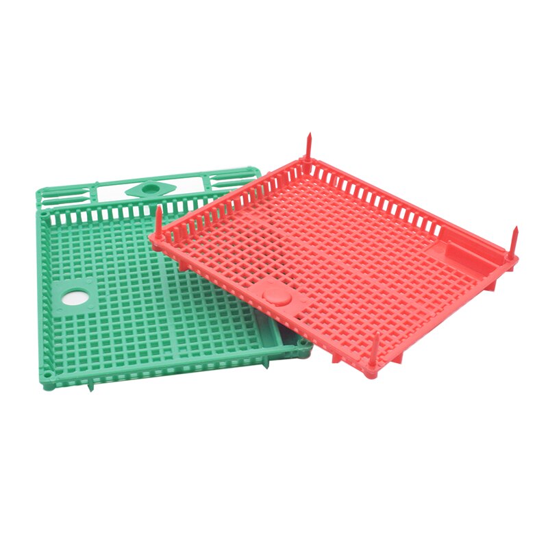 Caja de presentación de la Reina Nicot, Kit de cría de Reina redonda plana de plástico, jaula de presentación para apicultor, 1 Uds.