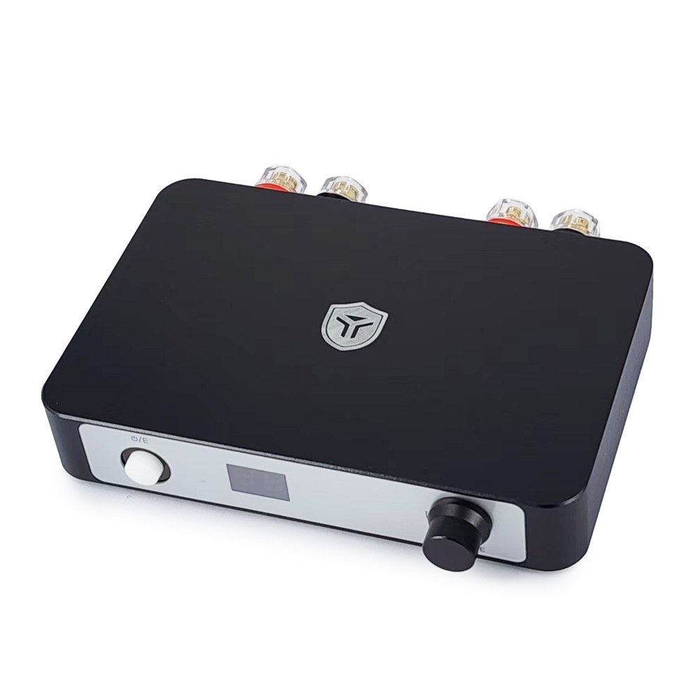 HIFI Mini Bluetooth 5.0 TPA3255 Class D Power Amplifier 2.0 Audio Amplifier 300Wx2 600W DSP Control Ne5532DR: transparent