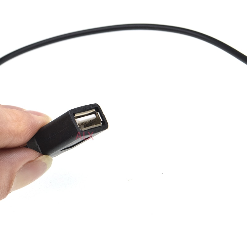 24AWG 30Cm TYPE-A Vrouwelijke Usb Connector Met Draad 2PIN Diy Usb-kabel Opladen Lijn Voor Enkele Kleur 5050 Flexibele led Strip Licht