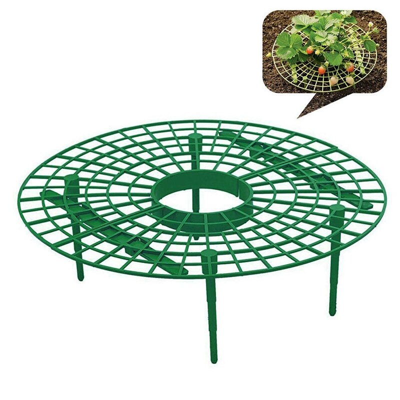 15 Pack Strawberry Plant Supports Strawberry Growing Support Rack Avoid Rot Frame Lightweight Strawberry Growing Tool