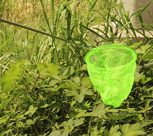 Colorful Kids Telescopic Butterfly Net, Extendable 34 Inches and Anti Slip Grip, Perfect for Catching Bugs Insect Small Fish