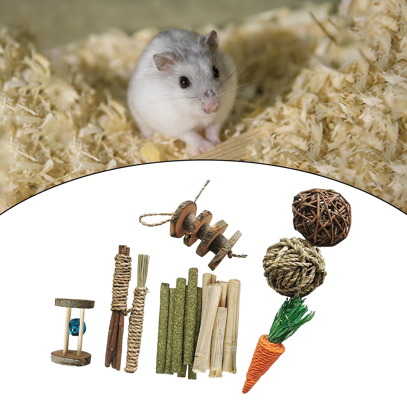 Hamster Rabbit Chew Toys Set Bite Grind Teeth Toys Guinea Pig Toys for Rabbit Rat Bunny Chinchillas Dwarf Hamsters Teeth Care: I