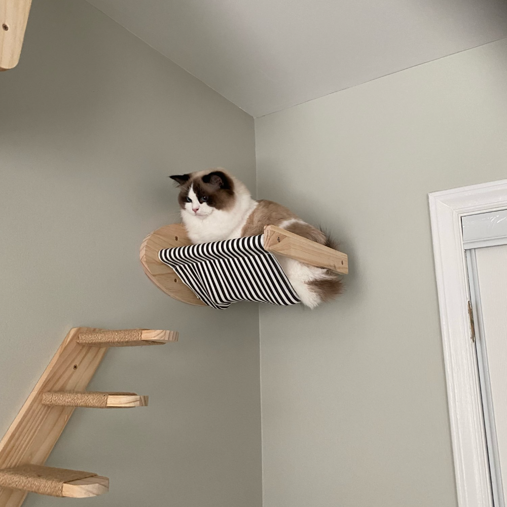 Wall-Mounted Cat Wall Climbing Shelves Set Wooden Cat Trees Tower Scratcher Jumping Platform Indoor Cats Gym Accessories Toy