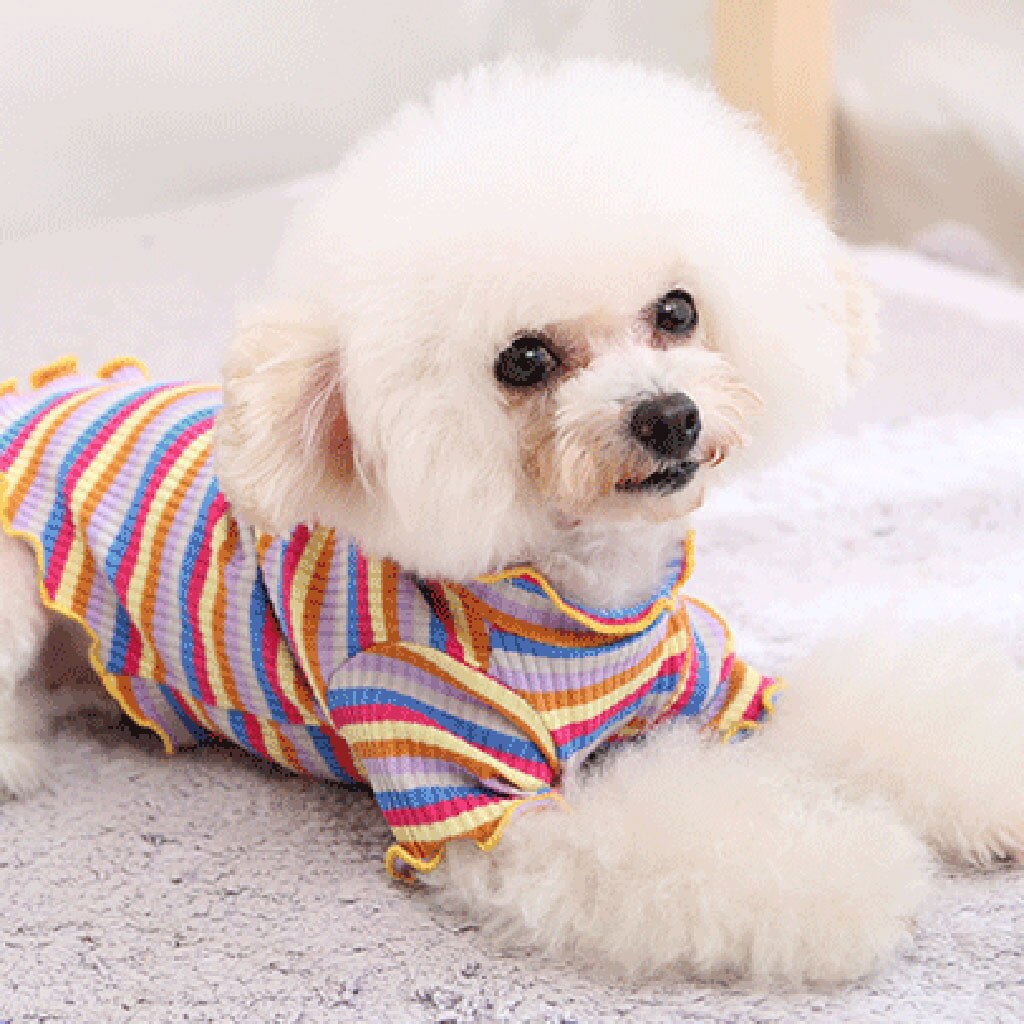 Elastic Bottoming Shirt Pet Dog Clothes Puppy Vest T-shirt Shirt Cute Rainbow Pajamas Cat Winter Cat Puppy Cosstume Apparel*5