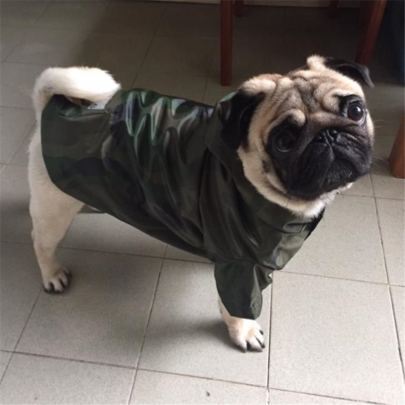 Chubasquero con capucha para perro, ropa para mascotas, traje impermeable para Bulldog Francés, Labrador, Husky, L