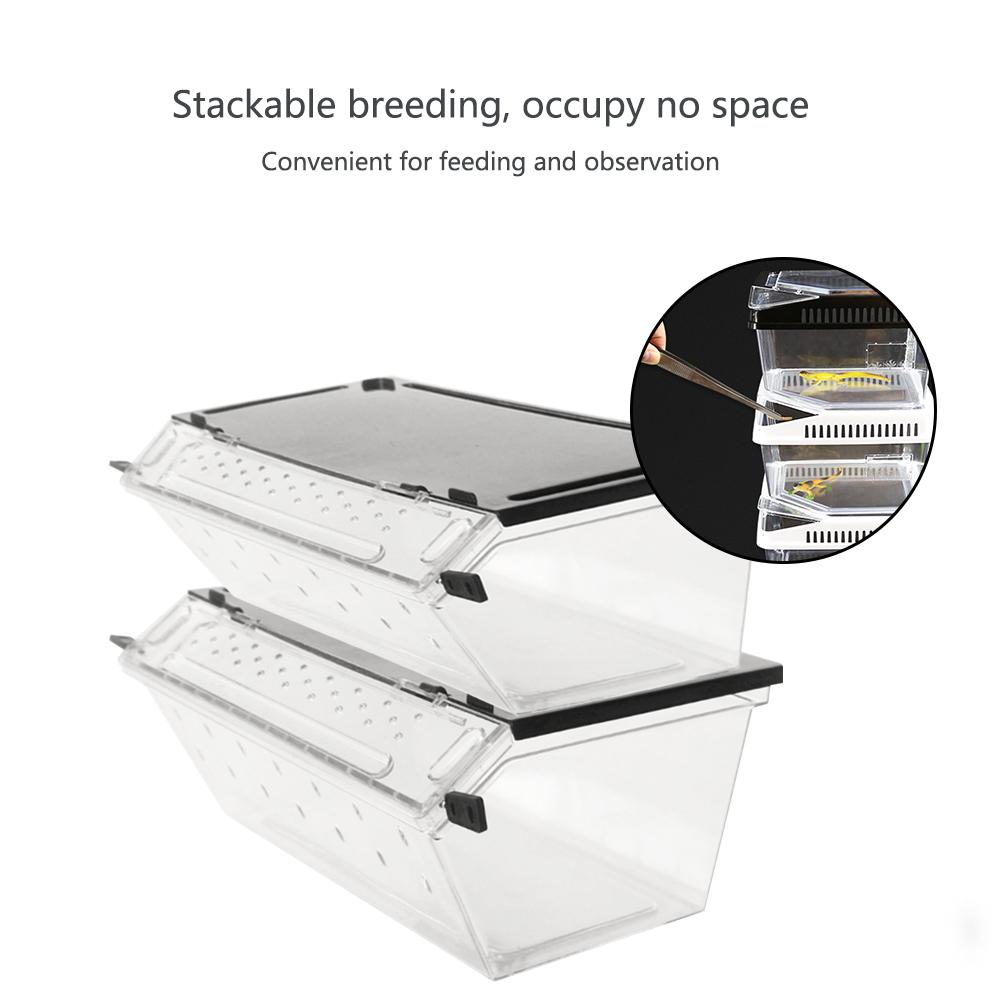 Di plastica Rettile Serpente ragno Lucertola Scorpione Millepiedi Cornuto Rana geco scarafaggio Insetto Allevamento Scatola Pendenza non-scontrino design