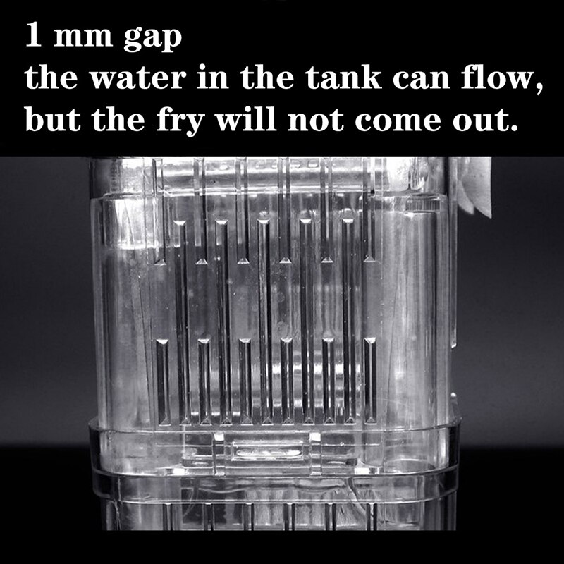 Aquarium auto-flottant pour poissons, boîte d'élevage de Guppy, couveuse en acrylique, Isolation de l'éclosion