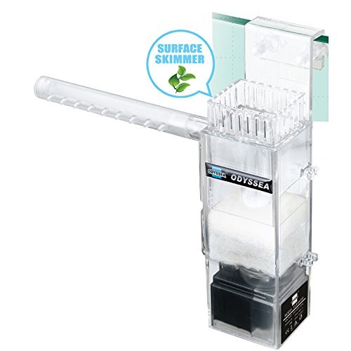 Odyssea – filtre d'écumage de Surface 100 l, nettoyage interne de la plante, pour Aquarium