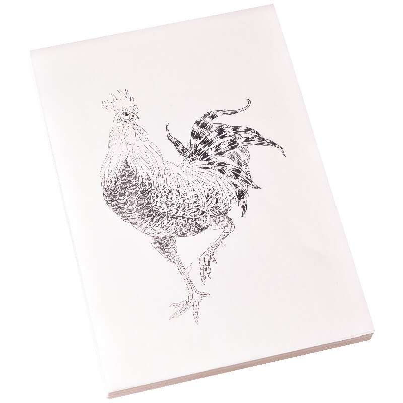 Minutieuze Tekening Manuscript Kleur Rijp Rijstpapier Kip Tekening Praktijk Voor Beginners Chinese Aquarel Schilderen Praktijk