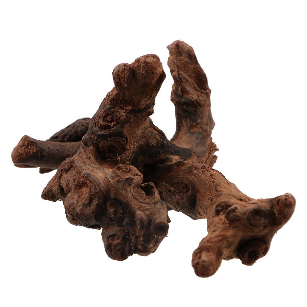 Irregular Shape Coral Wood Natural Wood Aquatic Plants Fish Tank Decoration for Aquarium