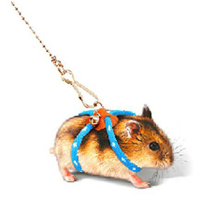 Justerbar kæledyr hamster snor sele reb gerbil bomuld reb sele bly krave til rotte mus hamster kæledyr bånd snor: Blå