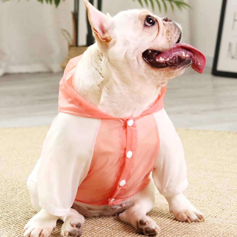 Buldog francuski ubrania letnie T-koszula dla psów mopy sznaucer walijski corgi buldog kostium odzież dla zwierząt odzież chroniąca przed słońcem