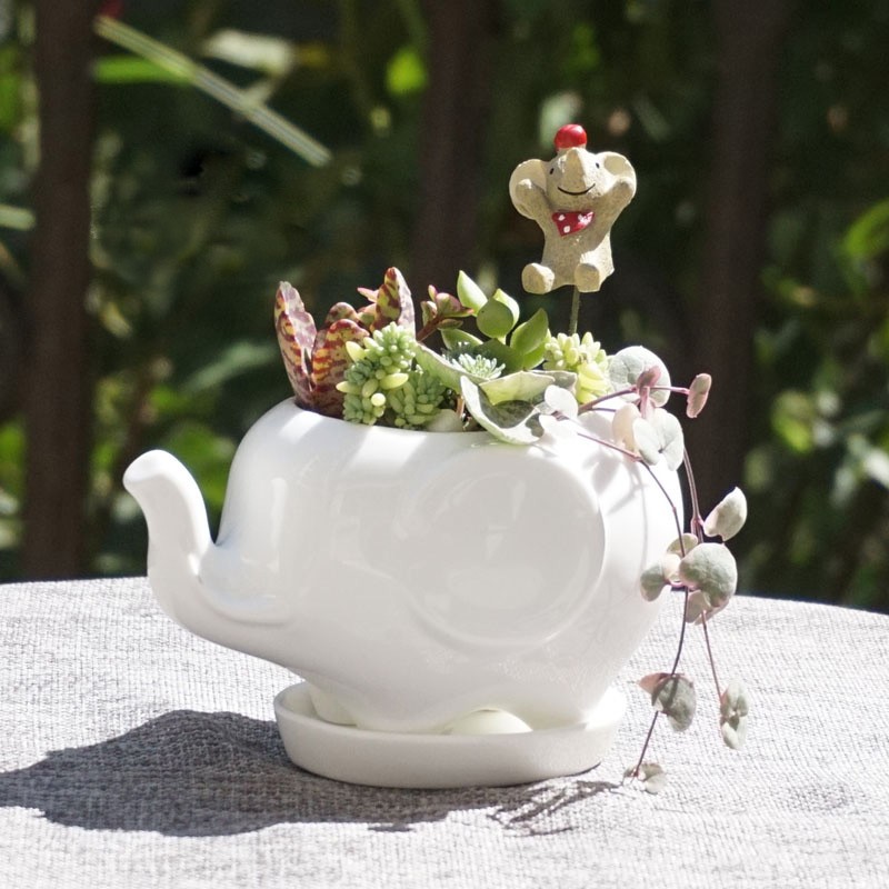 Maceta de cerámica Kawaii Pequeño animal, de porcelana blanca suculenta maceta de plantas y flores, decoración para el hogar, florero de jardín, miniadornos de escritorio