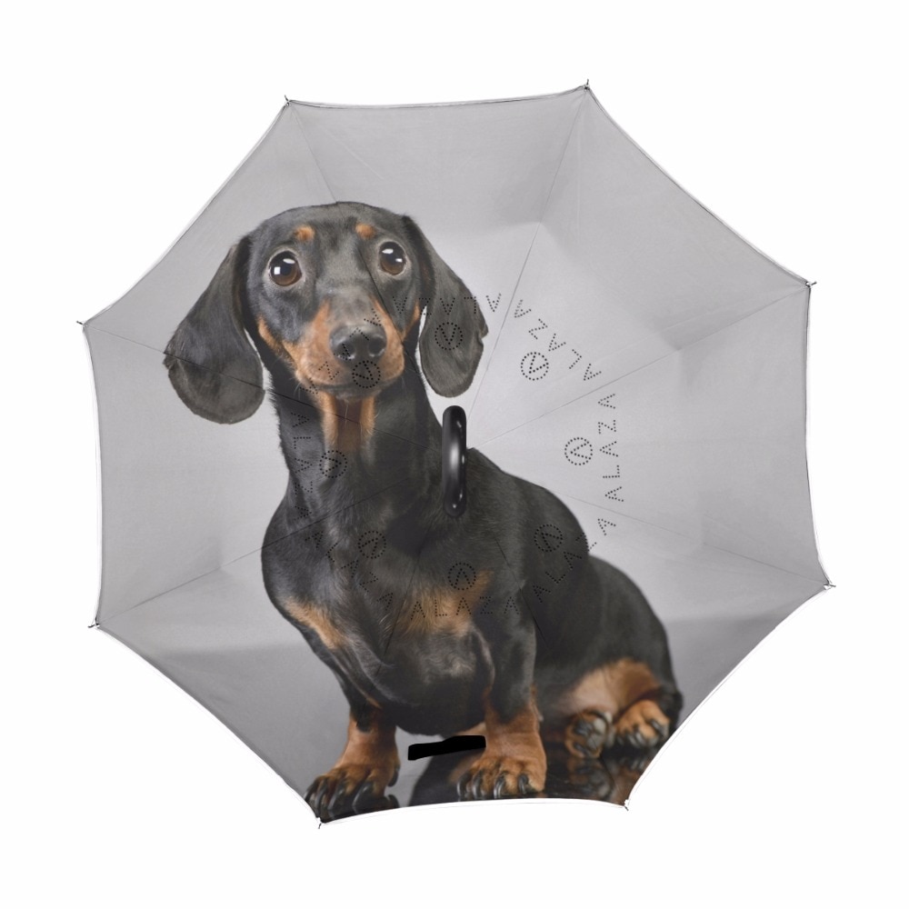 Adorable Pelo Corto perro inversa paraguas a prueba de viento paraguas sombrilla de doble capa paraguas sombrilla para hombres y mujeres