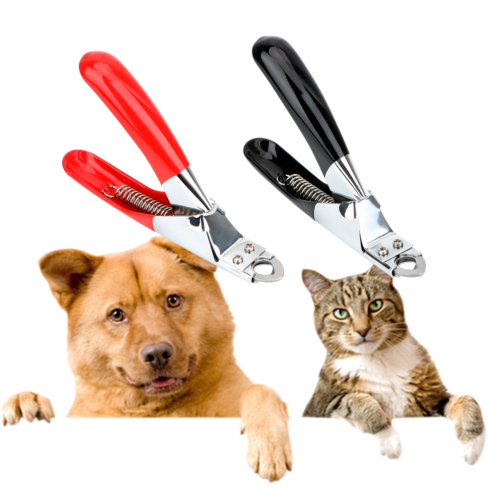 Kæledyrsprodukter klosakse rustfrit stål kæledyrsnegleklippere trimmer kat pleje katteforsyninger cutter