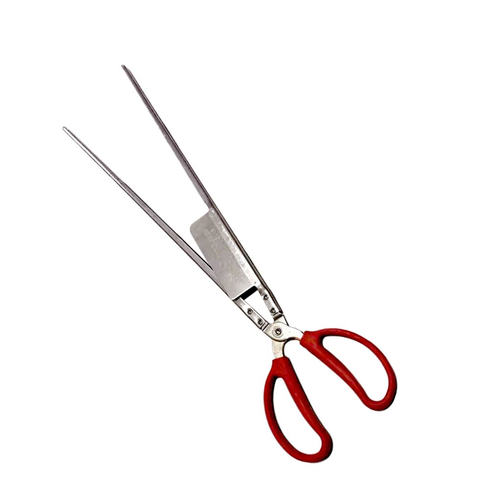 Stainless Steel Eel Tong Crab Tong Crab Non-slip Clamp Scissor Lobster Clip: Red straight