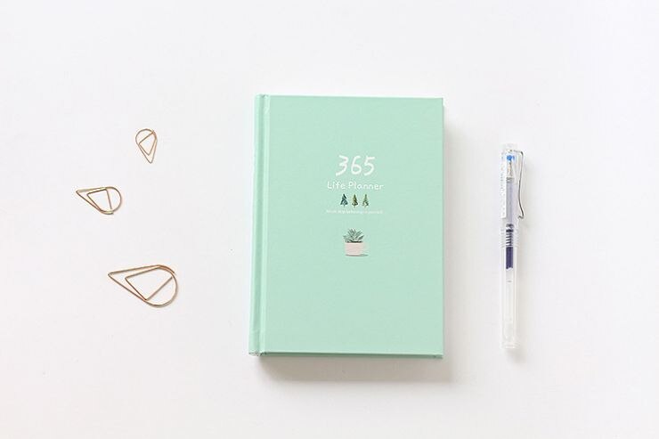 Agenda con ilustración colorida, cuaderno con lista de tareas, Bloc de notas de página interior, Agenda anual, Agenda escolar, oficina, , 365: Light Green