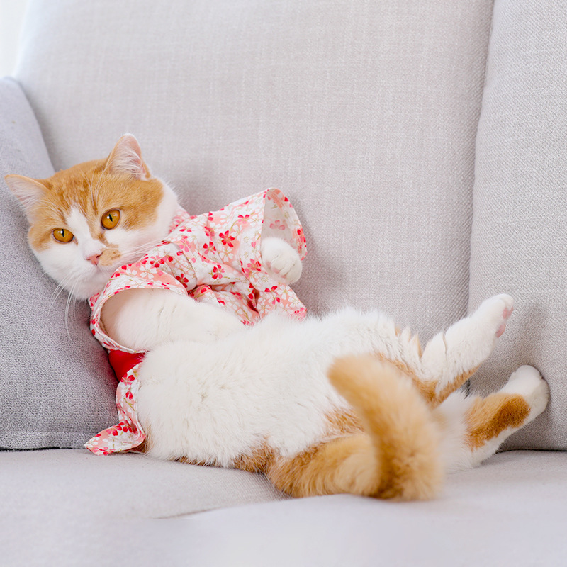 Ropa de perro mascota exquisito pequeño Floral japonés Kimono ropa de perro arco falda para mascotas Cuatro estaciones disponibles para perros pequeños