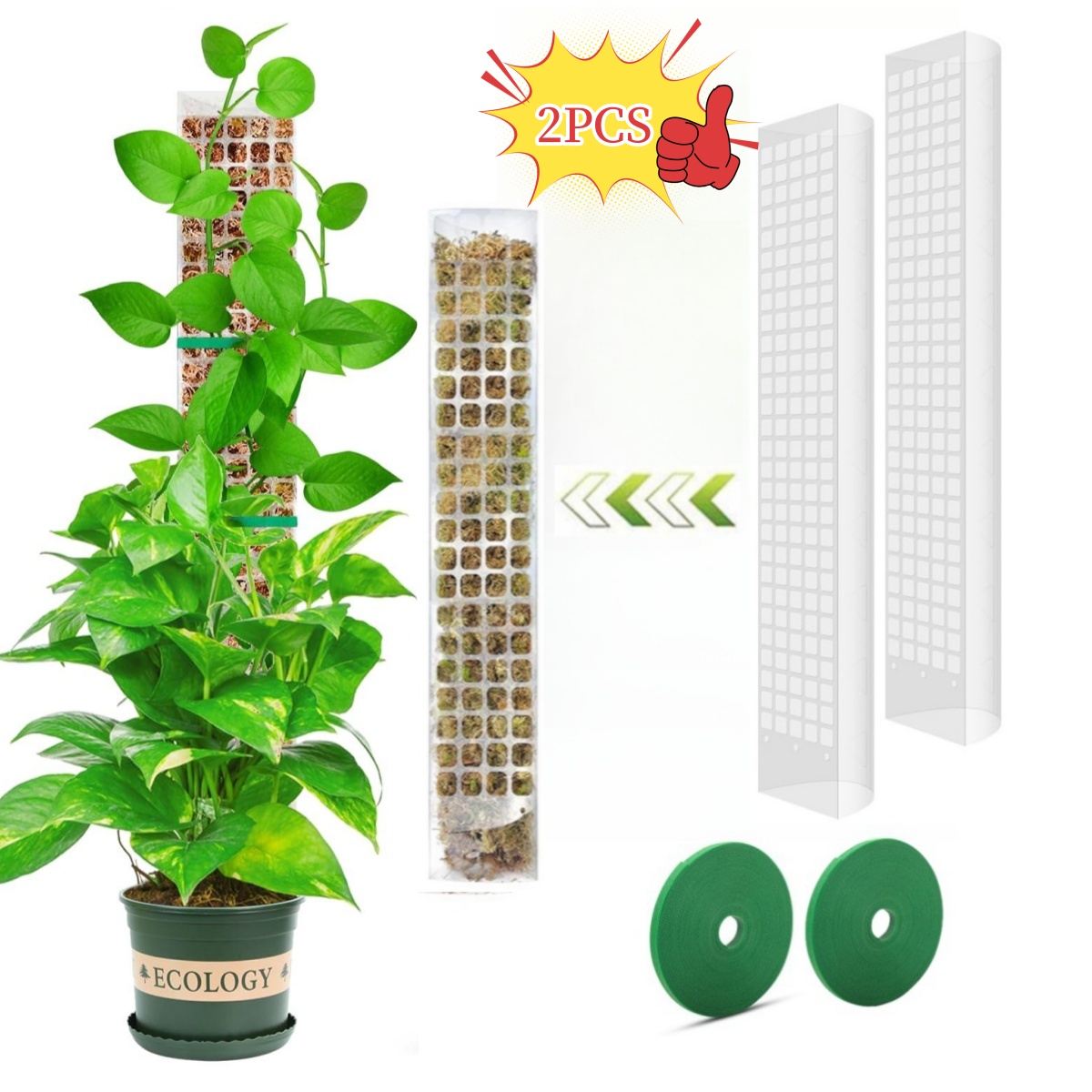 Planter mosestang hageemne blomst planteklatrere bonsai tilbehør potter veiledere, for plantekasser planter vekstholder støtte: 4xl / Beige