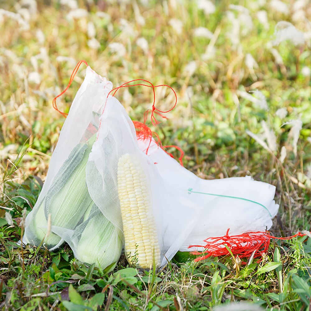 Bolsa de barrera para fruta, cubierta de barrera para fruta de jardín, para protección de semilla verdura de higo de uva, insecto, Mosquito