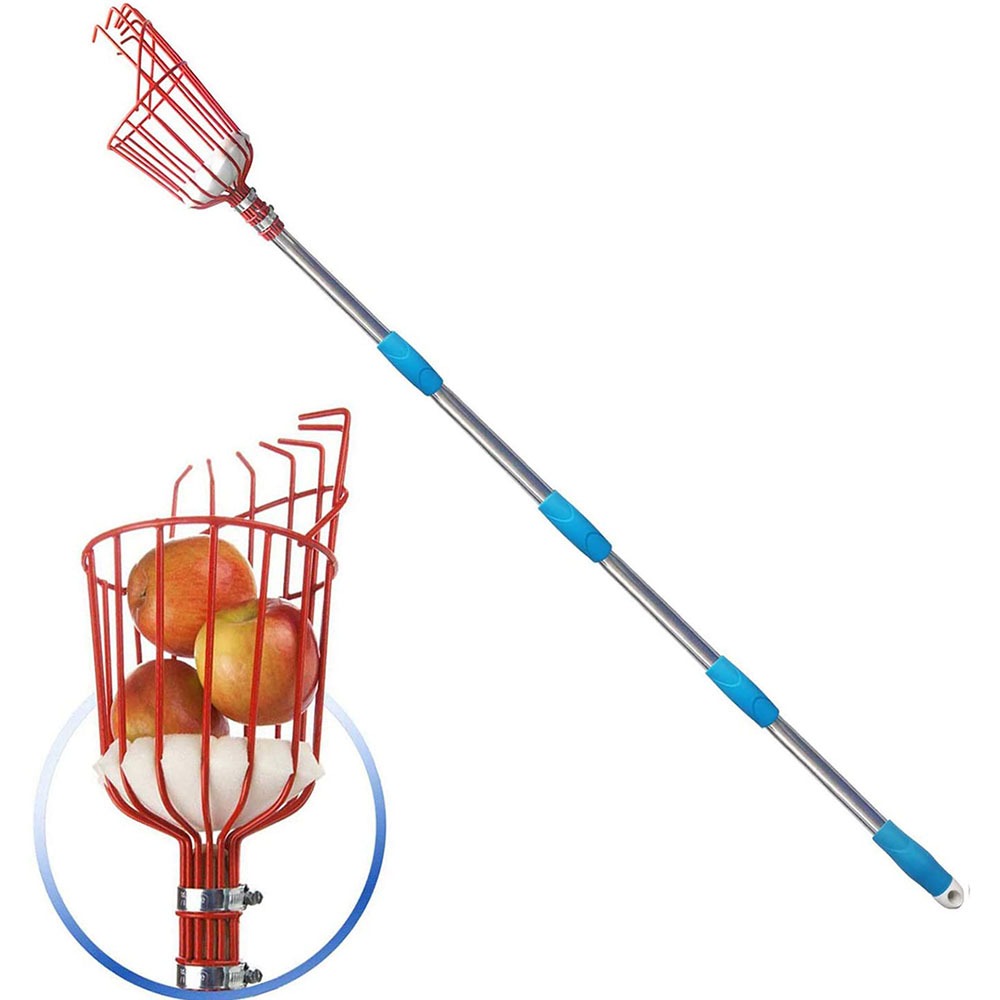 Ramasseur de fruits 260cm, panier profond réglable, pratique, collecteur de fruits, cueillette de pommes et de pêches, outils de jardin