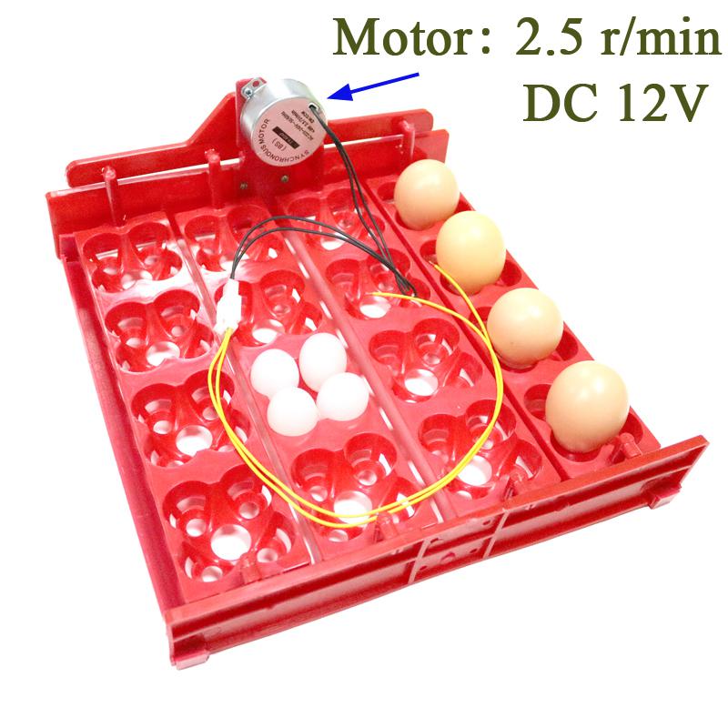 Incubadora de codorniz de 16 o 64 huevos de aves, bandeja de huevos de giro automático, accesorios de incubadora de mano, incubadoras de laboratorio: DC12V