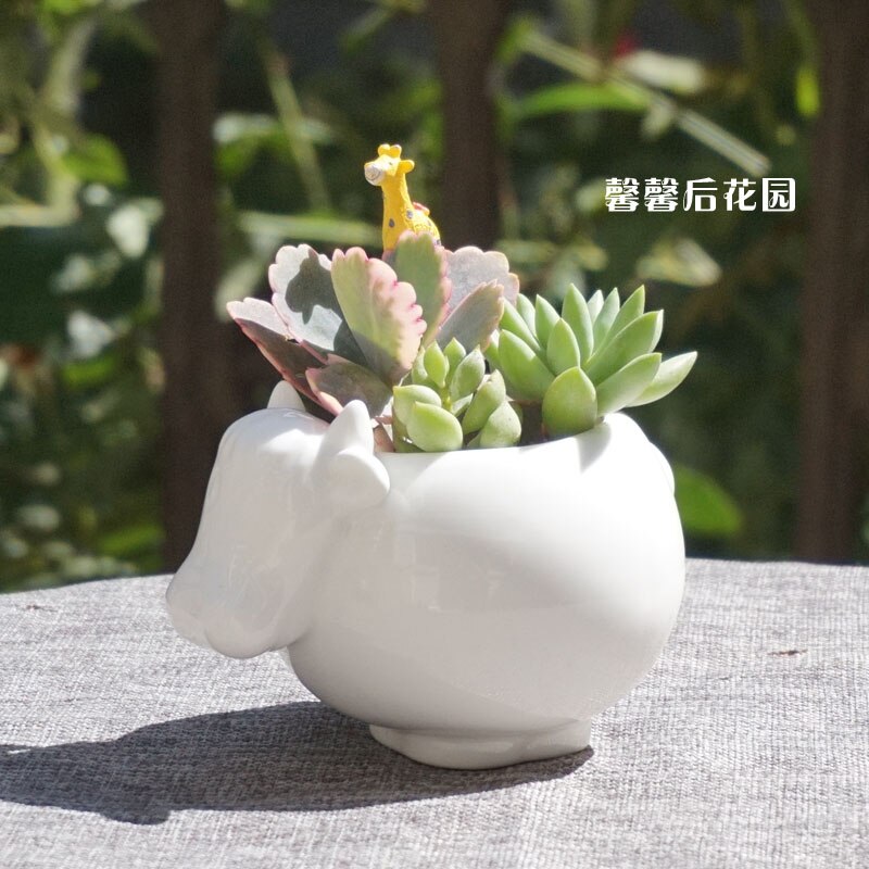 Maceta de cerámica Kawaii Pequeño animal, de porcelana blanca suculenta maceta de plantas y flores, decoración para el hogar, florero de jardín, miniadornos de escritorio: Cow