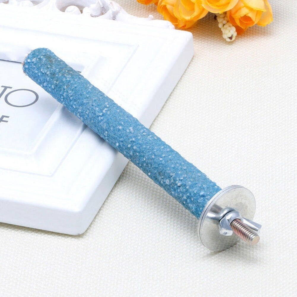 Delysia Koning Vogel Slijpen Speelgoed