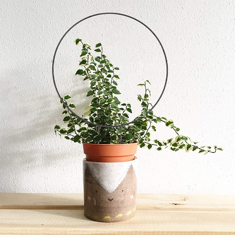 Älskar hjärtformad rund ranka klätterställ blomma växt spaljé stödram trädgårdsväxt krukväxt blomsterarrangemang stativ