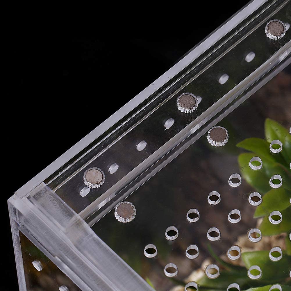 Caja de acrílico para reptiles, caja plana larga transparente para cría de reptiles, terrario, jaula para Tarantula, escorpión, Isopods