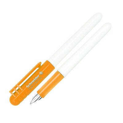 Germany Schneider BK401 children students practice calligraphy pen male and female 0.38 mm EF pointed bag mail: Orange