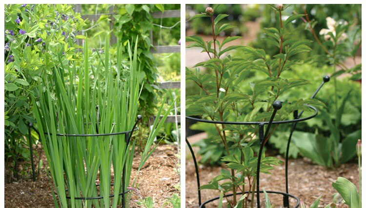 Boeket Type Plant Beugel Smeedijzeren Klimmen Bloem Frame Ondersteuning Hortensia Geschikt Voor Hydrange