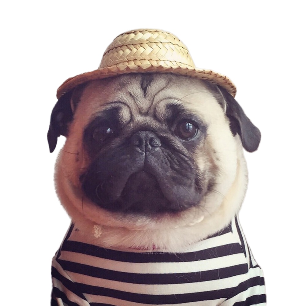 Gorro de paja Estilo Hawaiano para perro, Sombrero de paja para mascotas pequeñas, accesorios para fotos,