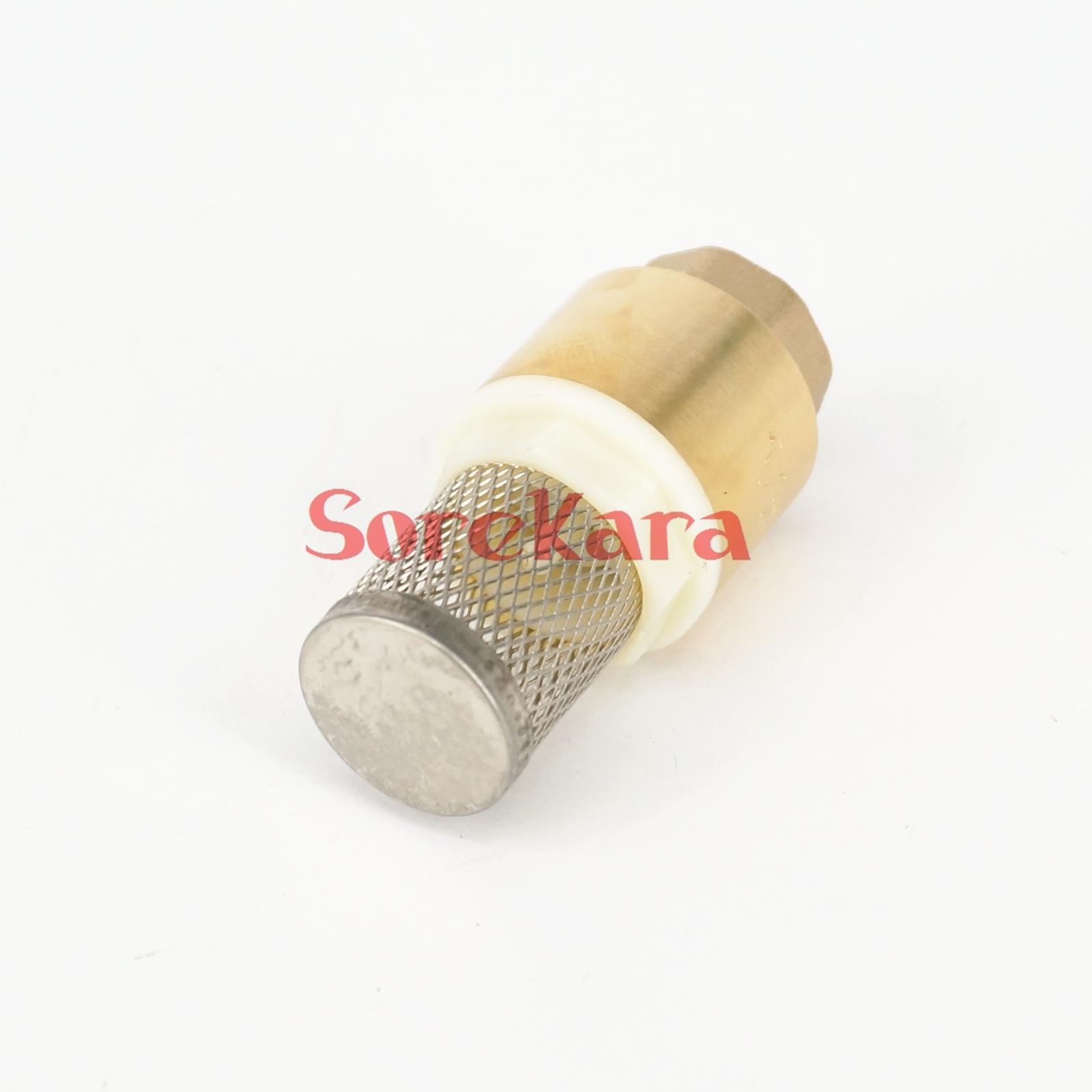 3/4" BSP Female Brass Spring Check Valve With Strainer Filter 1.6Mpa