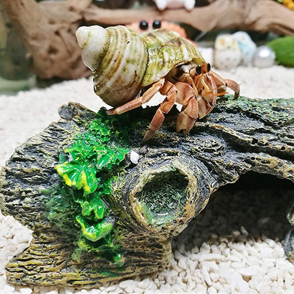 Décoration d'aquarium, abri de poisson, artisanat en résine, décoration d'aquarium, fournitures, trou de Simulation