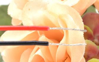 Fan NONOISE G5015M12D1+6 12V 0.200A 5015 Car Audio Cooling Fan 50×50×15MM: Gold