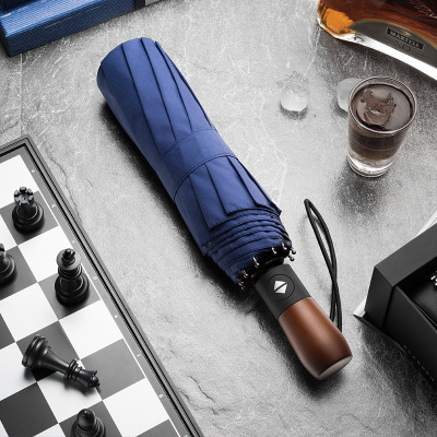 Wind Resistant Folding Automatic Umbrella Rain Women Auto Luxury Big Windproof Umbrellas Rain For Men Black Coating 10K Parasol: Umbrella 2 Blue