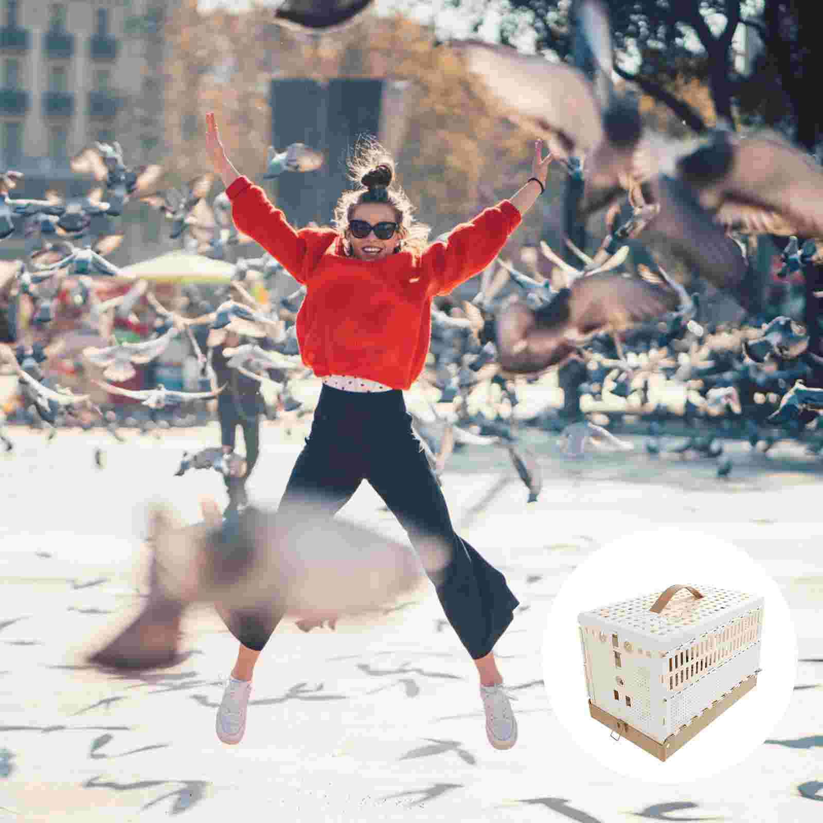 Pet Cage Plastic Pigeon Cage Foldable Pigeon Cage Pet Supply Training Cage for Pigeons Kitten Puppy Rabbit