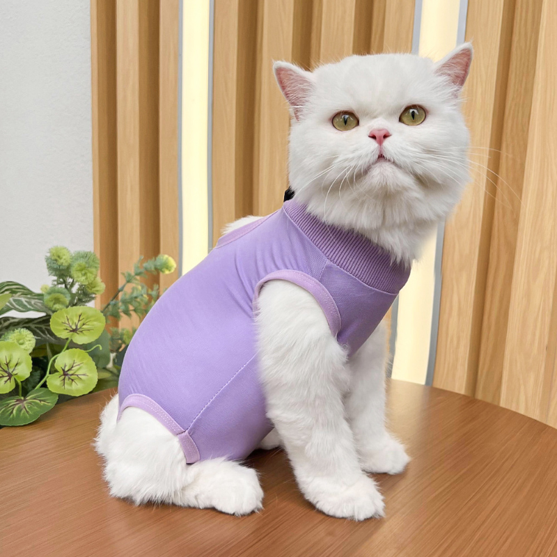 Gatos cirurgia recuperação terno para pequeno médio cão gato colete camisa para animais de estimação pijama macio após cirurgia usar roupas de recuperação anti lambendo: L / ROXO