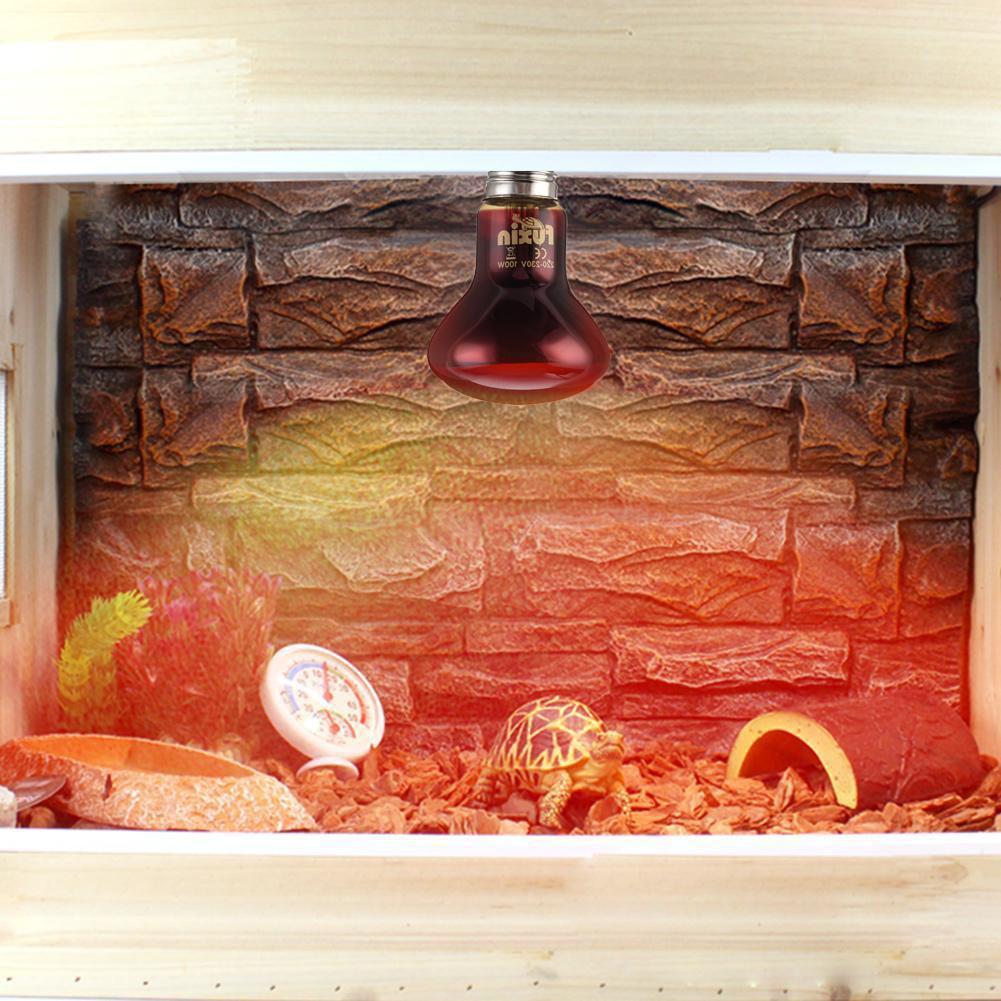 Luz LED nocturna para reptiles, lámpara de calor infrarroja UVA, Bombilla para serpiente, lagarto, accesorios para reptiles: 75w
