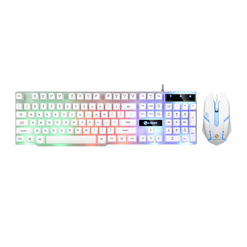 USB Wired Gaming Keyboard Mouse Set PC Rainbow Colorful LED Illuminated Backlit Gamer Gaming Mouse and Keyboard Kit Home Office: 01