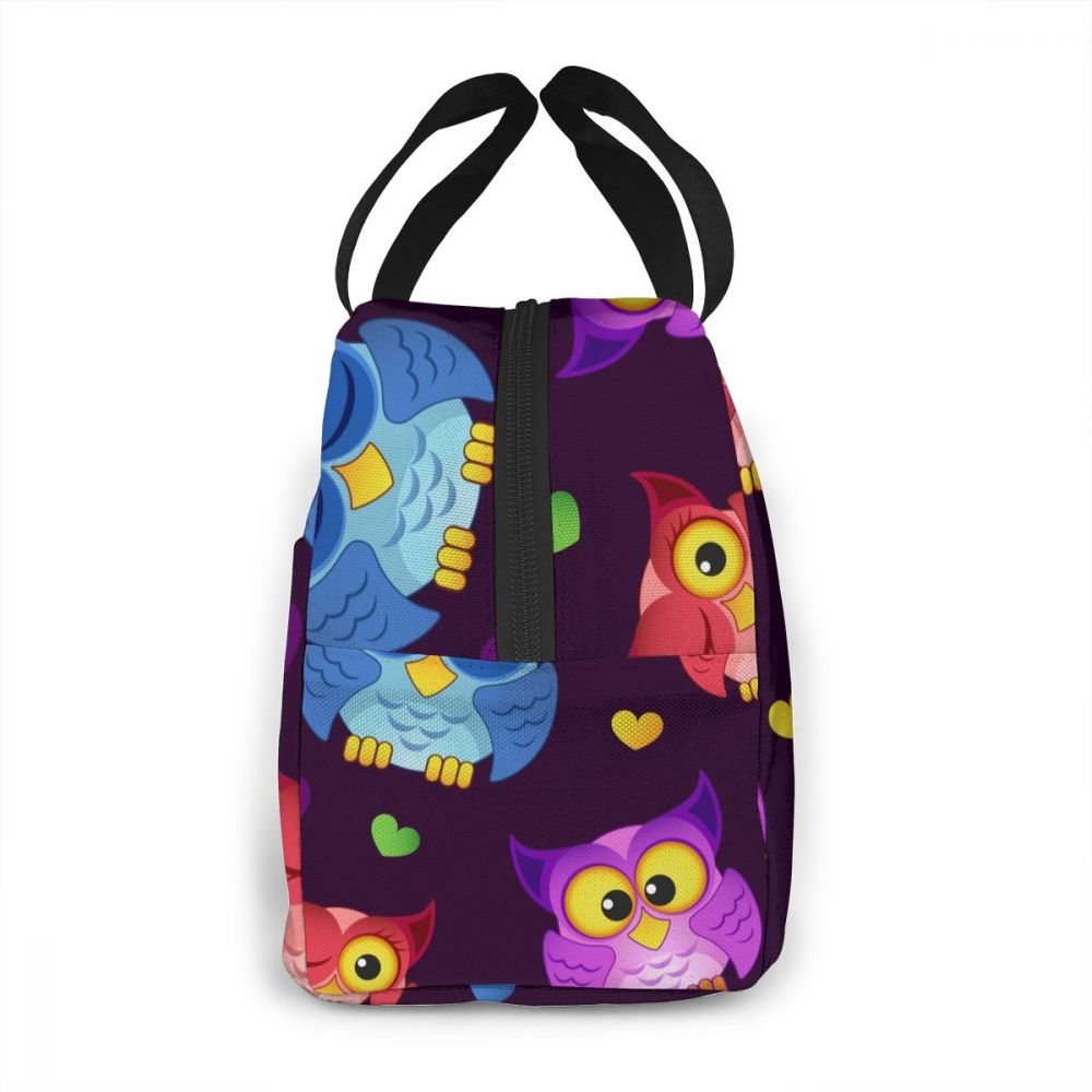 Nette Bunte Eulen Kühltasche Tragbare Reißverschluss Thermische Mittagessen Tasche Bequem Mittagessen Kasten Tote Lebensmittel Tasche