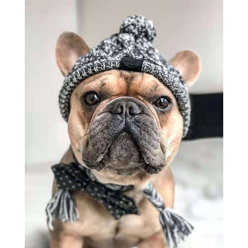 Gorro cálido de invierno para mascota, gorro de punto a prueba de viento para gato de Navidad, para perros pequeños y medianos, Chihuahua, Bulldog francés: WW0001 / M