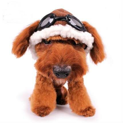 Chapeau d'aviateur pour chien, lapin et chat, oreilles ouvertes, chapeau pour chien, vêtements pour animaux de compagnie, accessoires, petit chapeau pour animaux de compagnie