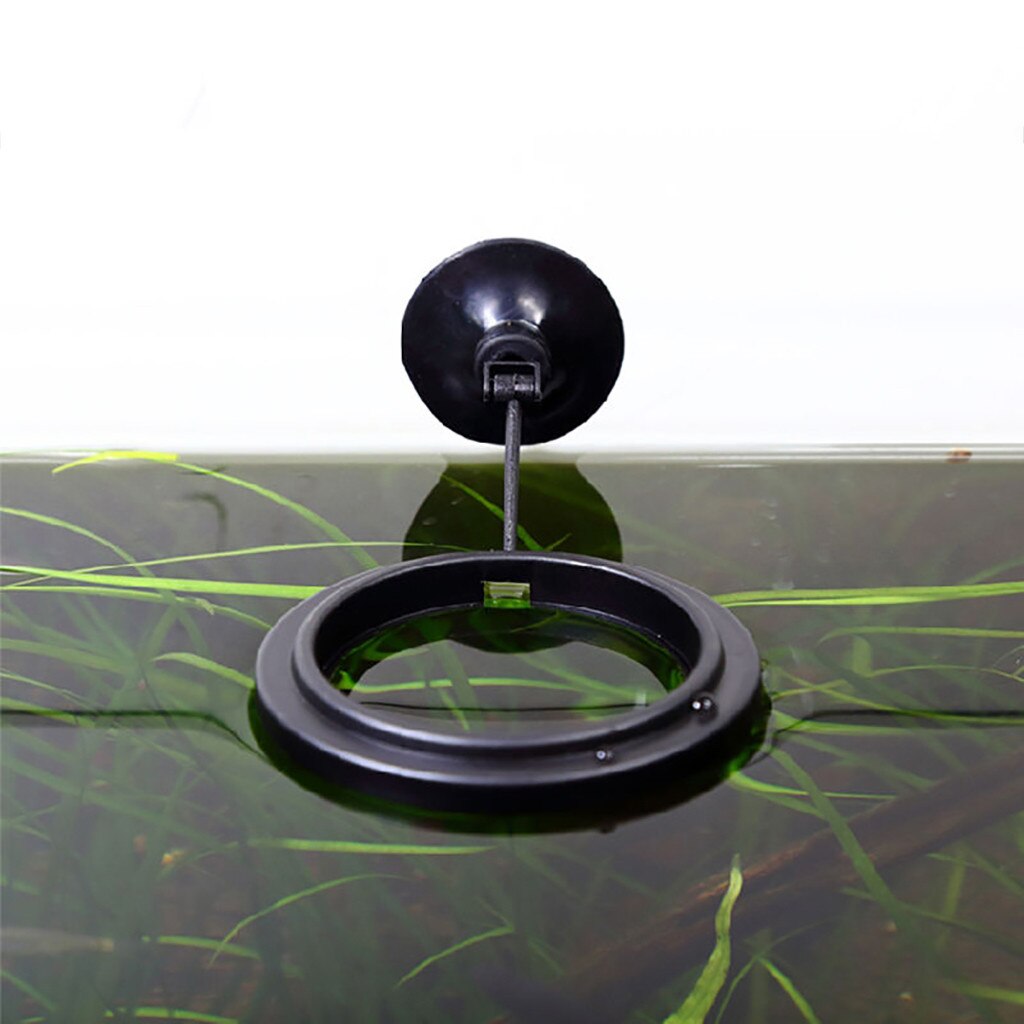 Aquarium Feeding Ring Fish Tank Station Floating Food Tray Feeder Square Circle Accessory Water Plant Buoyancy Suction Cup #