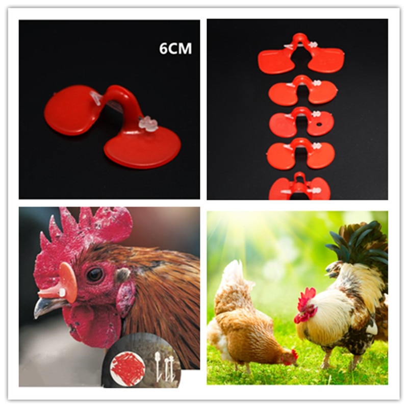 Briller til kyllinger fabriksleverandør plastik kyllingeglas til at stoppe kyllingekamp